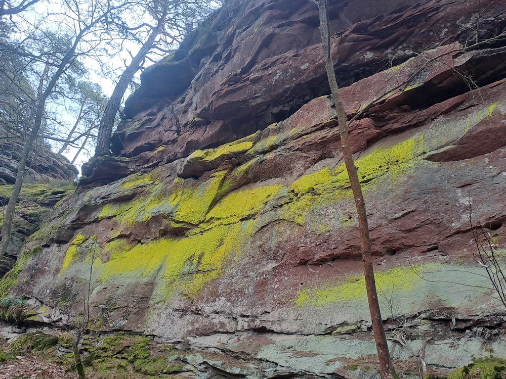 GIF hochgeladen von Michael