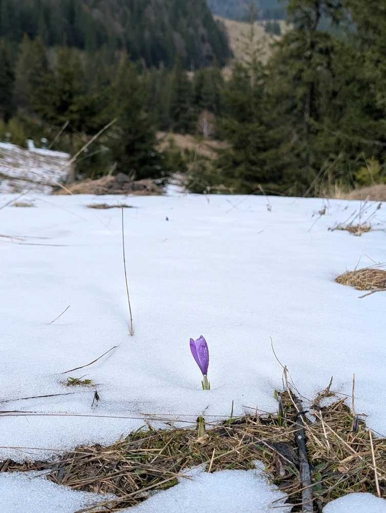 O frumoasa plimbare de primavara!