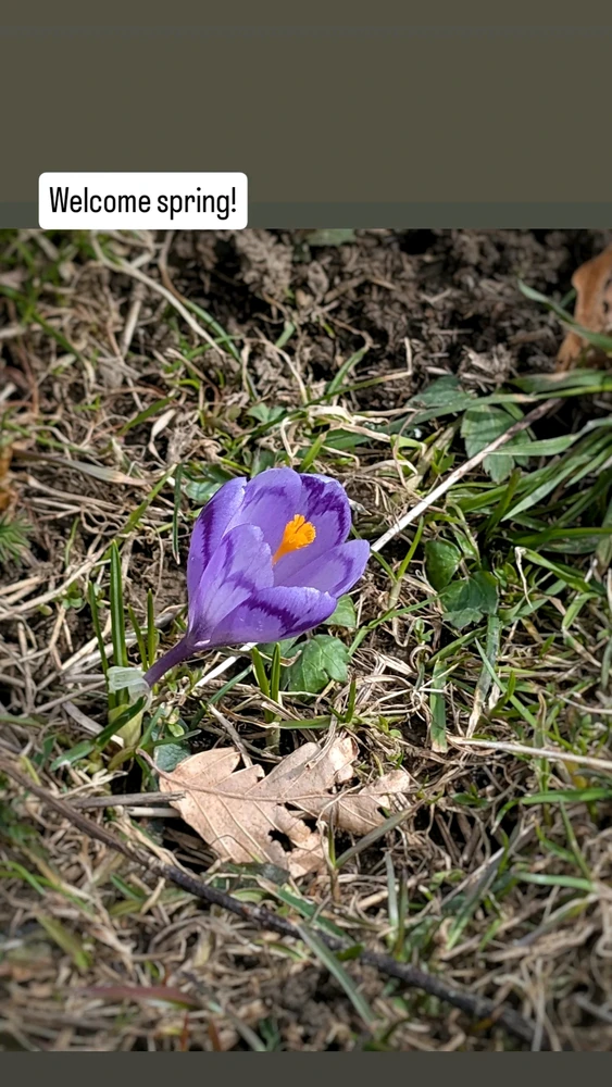 O frumoasa plimbare de primavara!