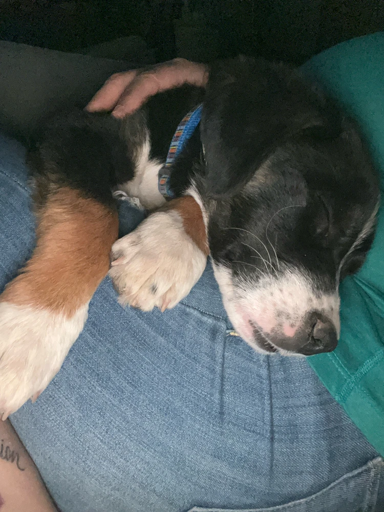 GIF uploaded by Patty