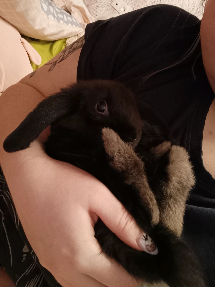 GIF загрузил Caroline