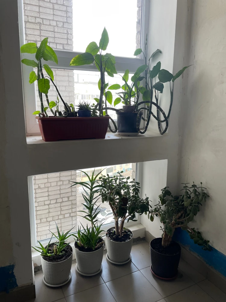 Гіфку завантажив Анастасія