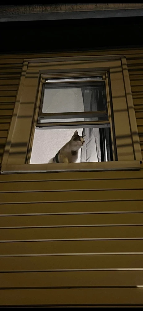 GIF uploaded by Andy