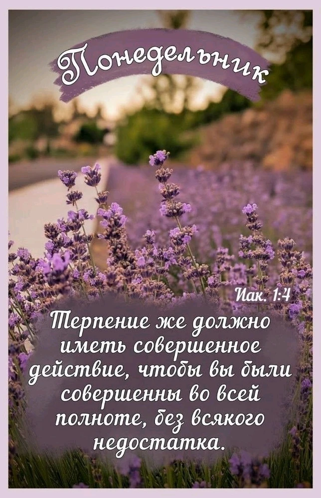 GIF загрузил Андрей