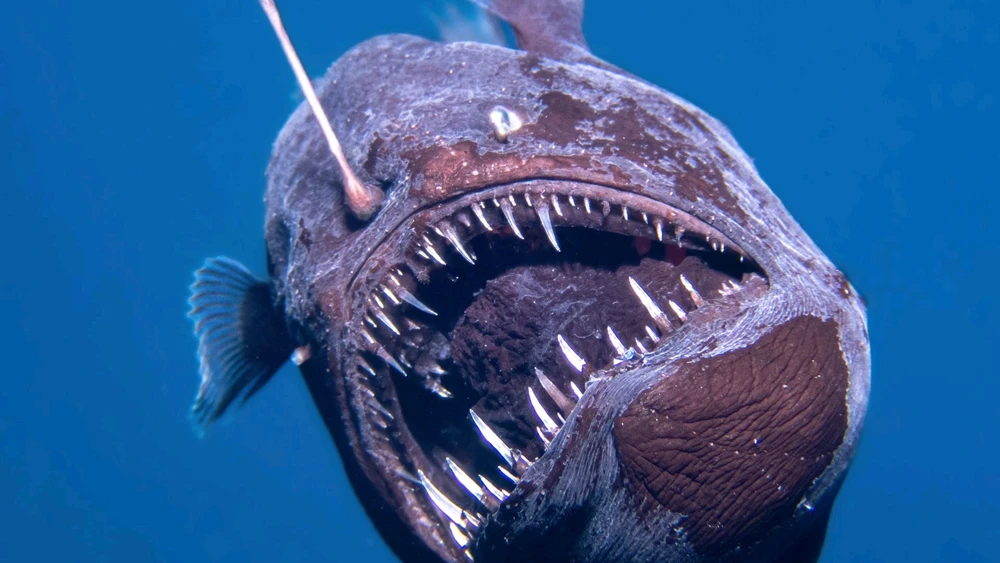 Image uploaded by Esther