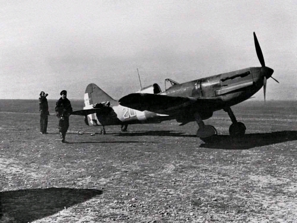 Zdjęcie dodane przez Kamil1987