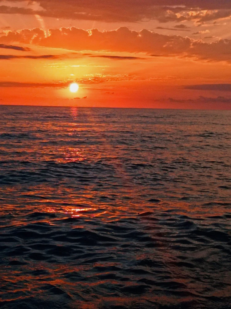 Aram վերբեռնած նկար