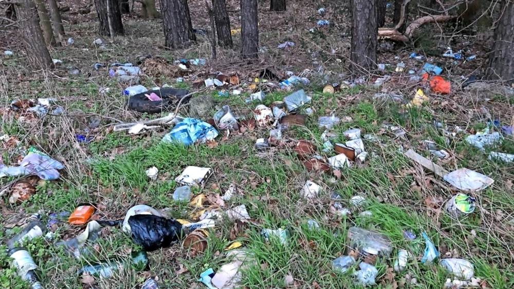 Konsum- und Wegwerfgesellschaft