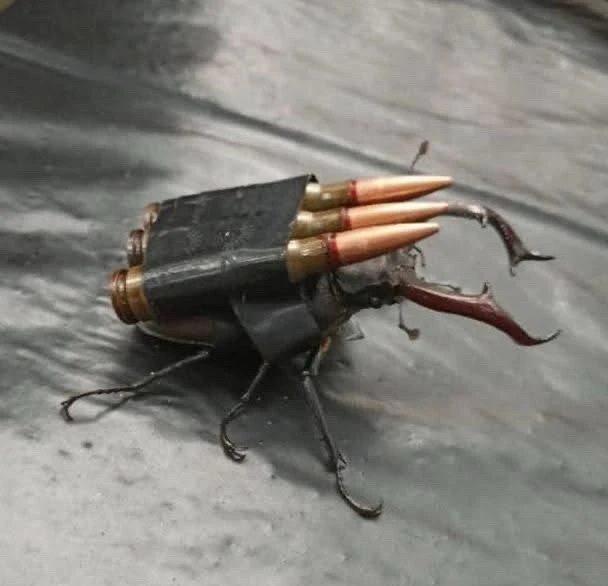 GIF uploaded by Chris