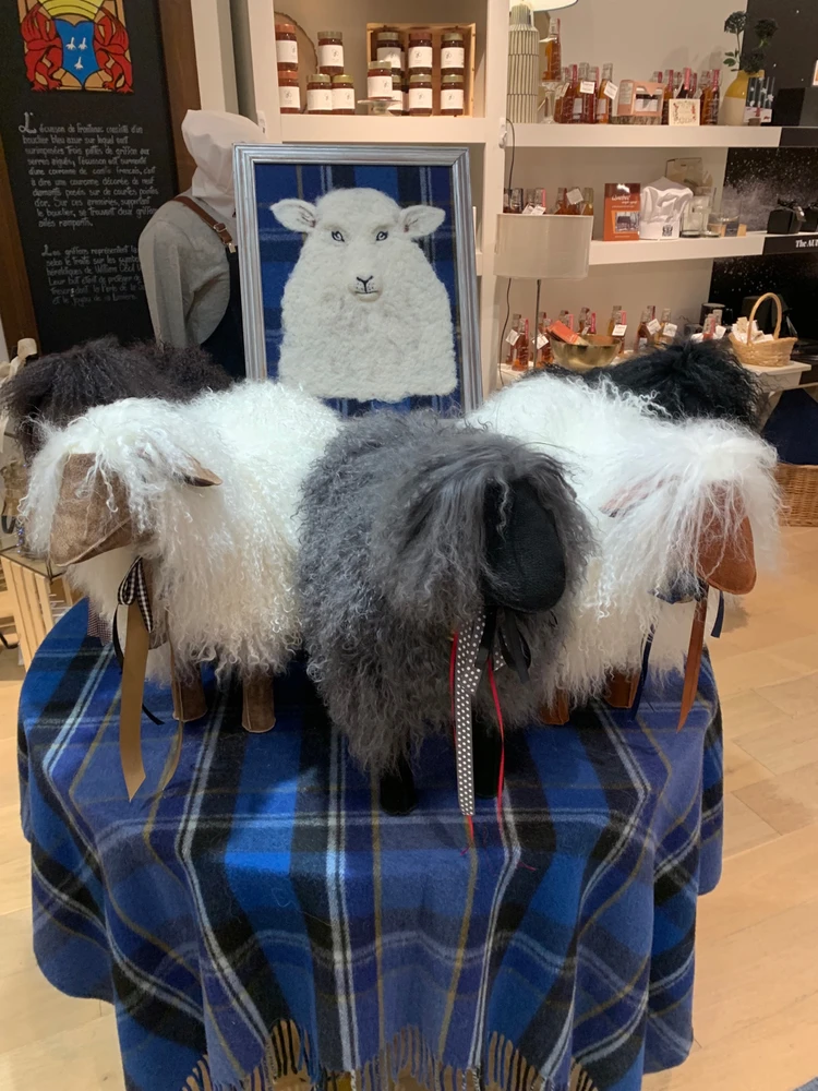 I actually wanted to get one of these haha 🐑 