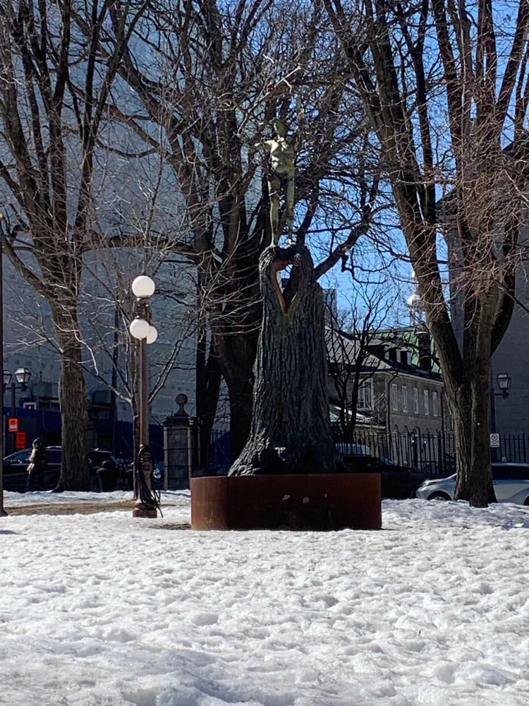 Some more memories from my trip to Quebec🗺️✨