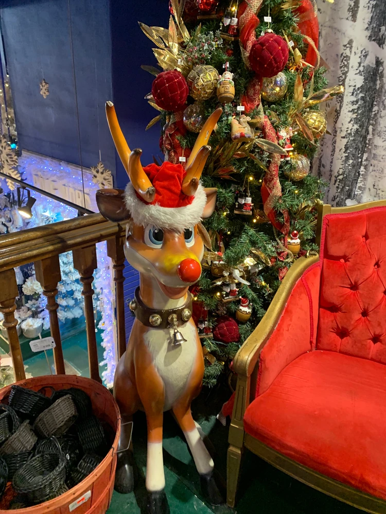 Some more memories from my trip to Quebec🗺️✨