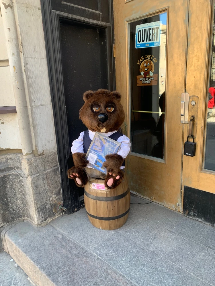 Some more memories from my trip to Quebec🗺️✨