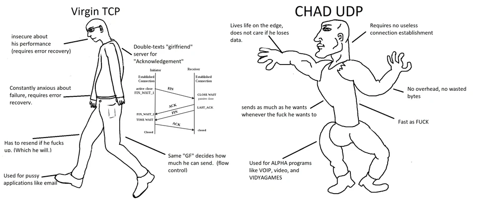 Image uploaded by Tomer