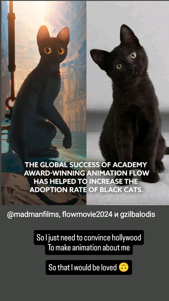 GIF otpremio/la Dusan