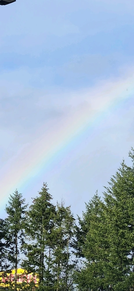 Image uploaded by Chris