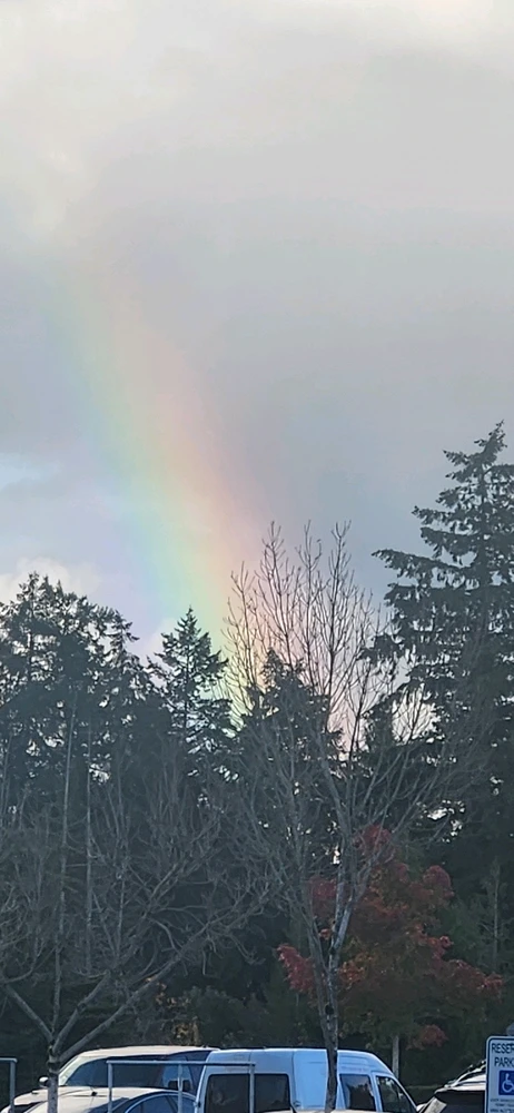 Image uploaded by Chris