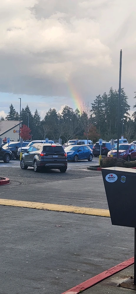 Image uploaded by Chris