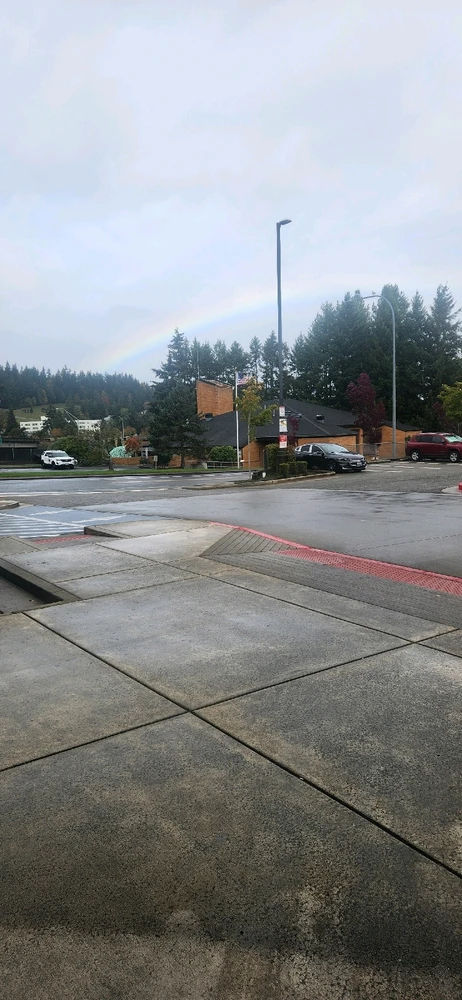 Image uploaded by Chris