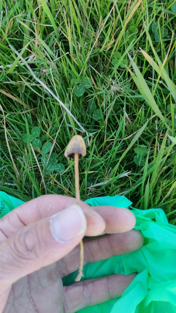 Gambar diunggah dening Sam