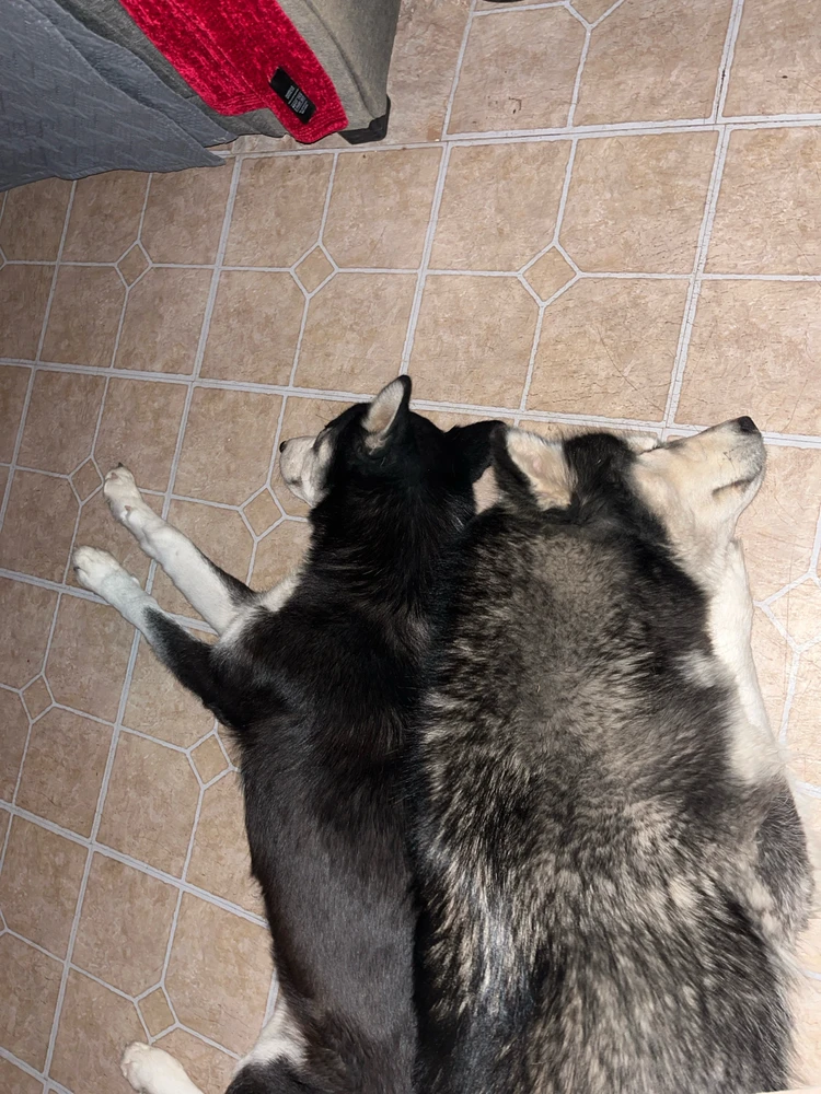 GIF uploaded by Patty