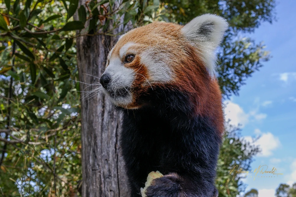 Gambar diunggah dening Anthony