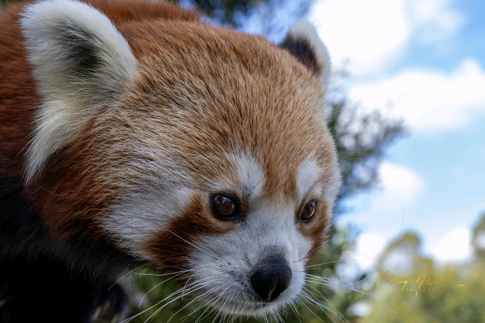 Gambar diunggah dening Anthony