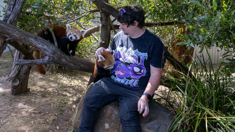 Gambar diunggah dening Anthony