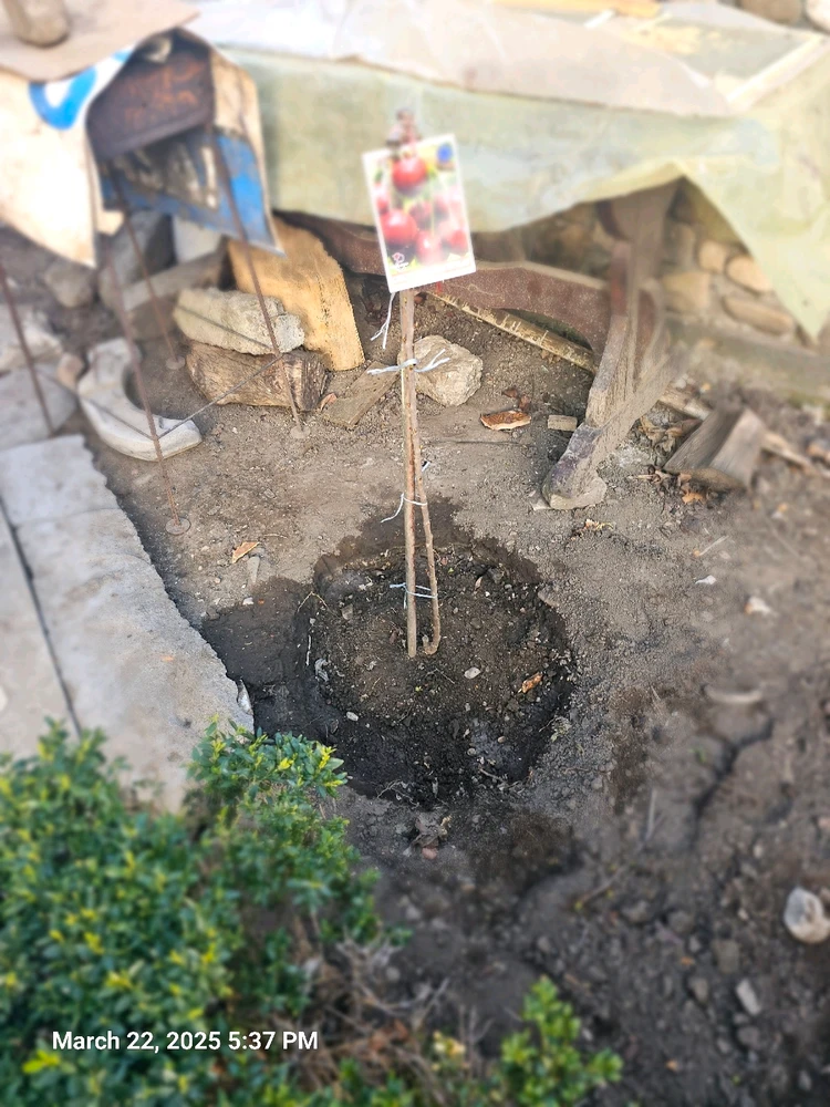 GIF uploaded by Sergiu TataUrs