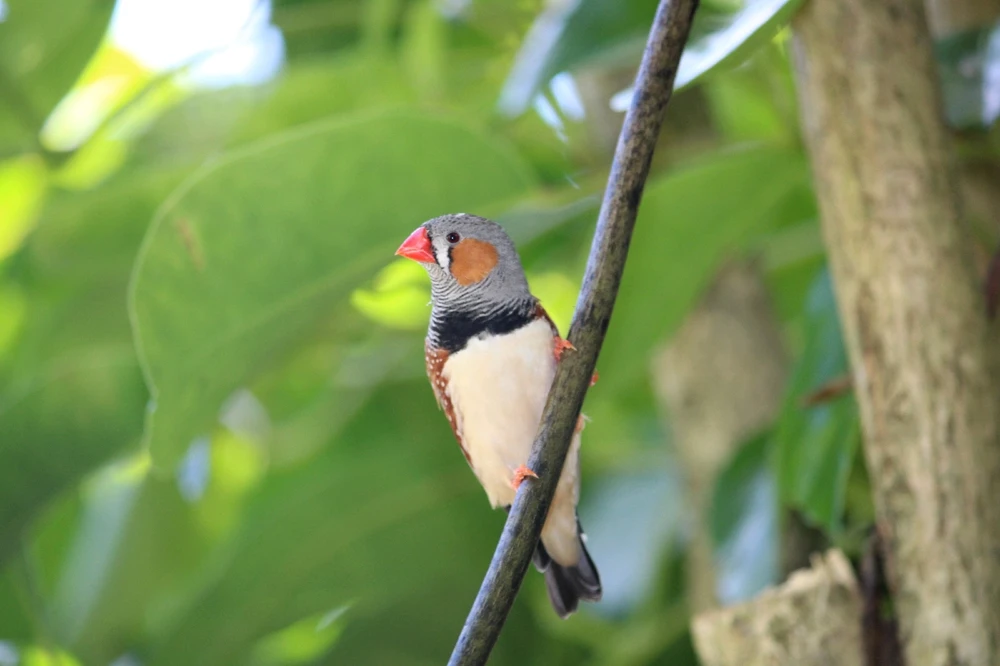 GIF uploaded by Kayley