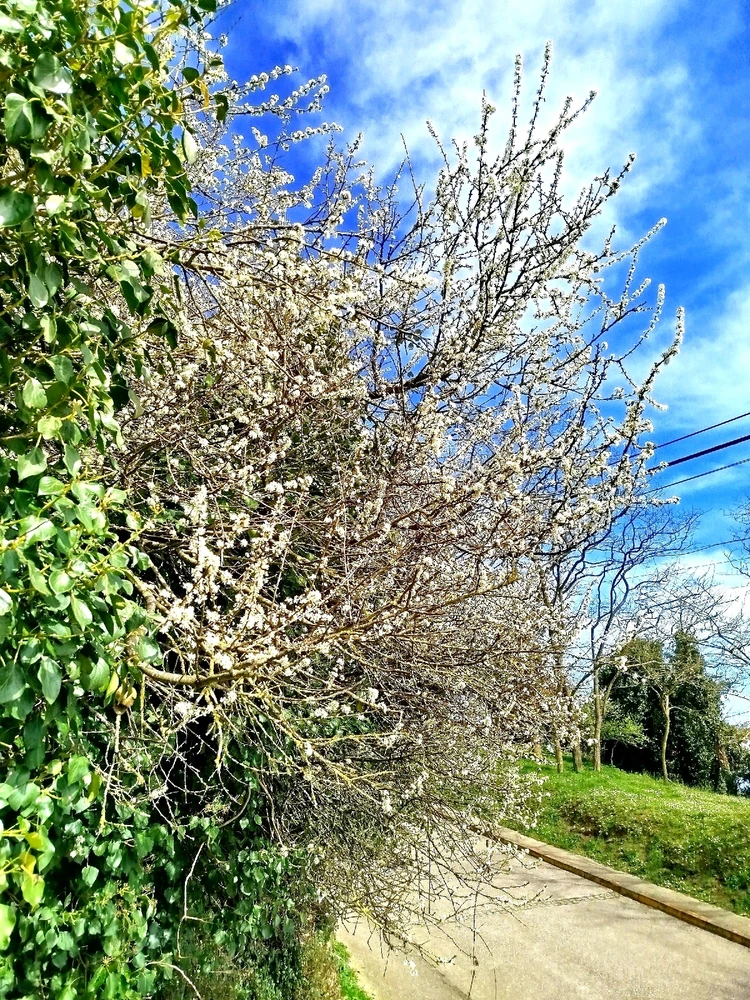 GIF uploaded by Angel