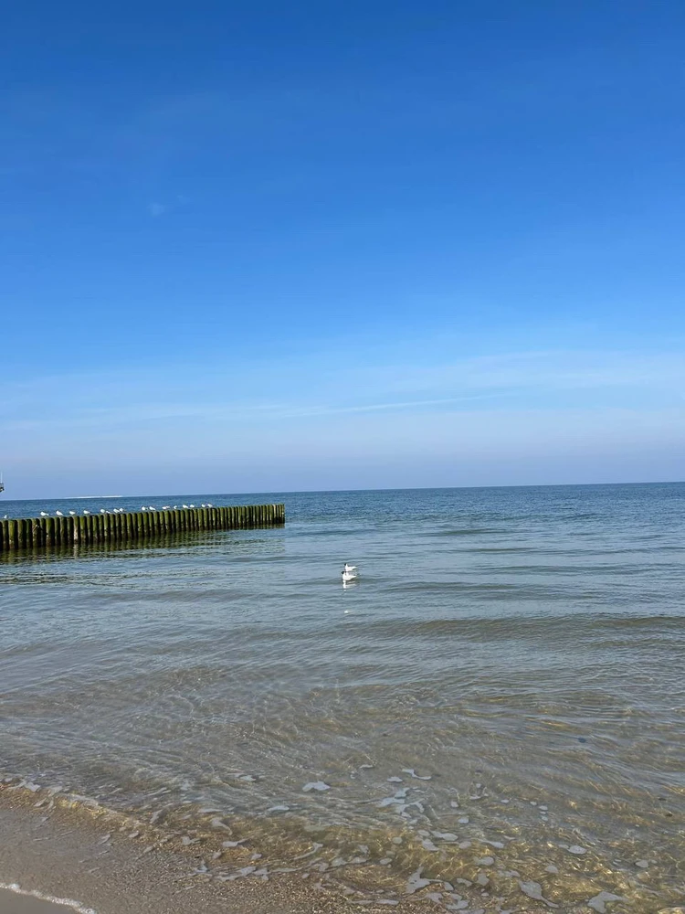 Image uploaded by Creer