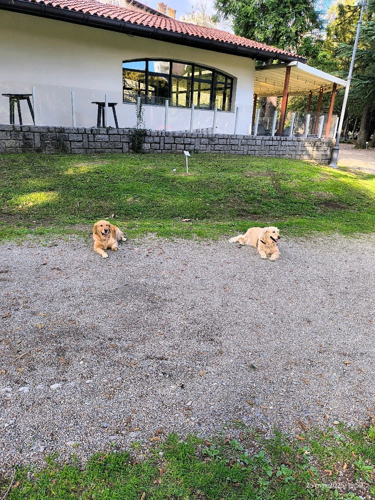 GIF caricata da Edoardo