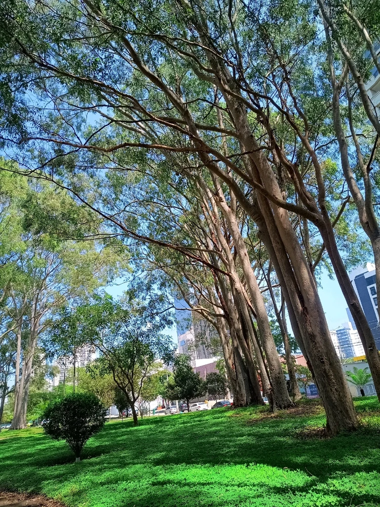 GIF enviado por Vitória