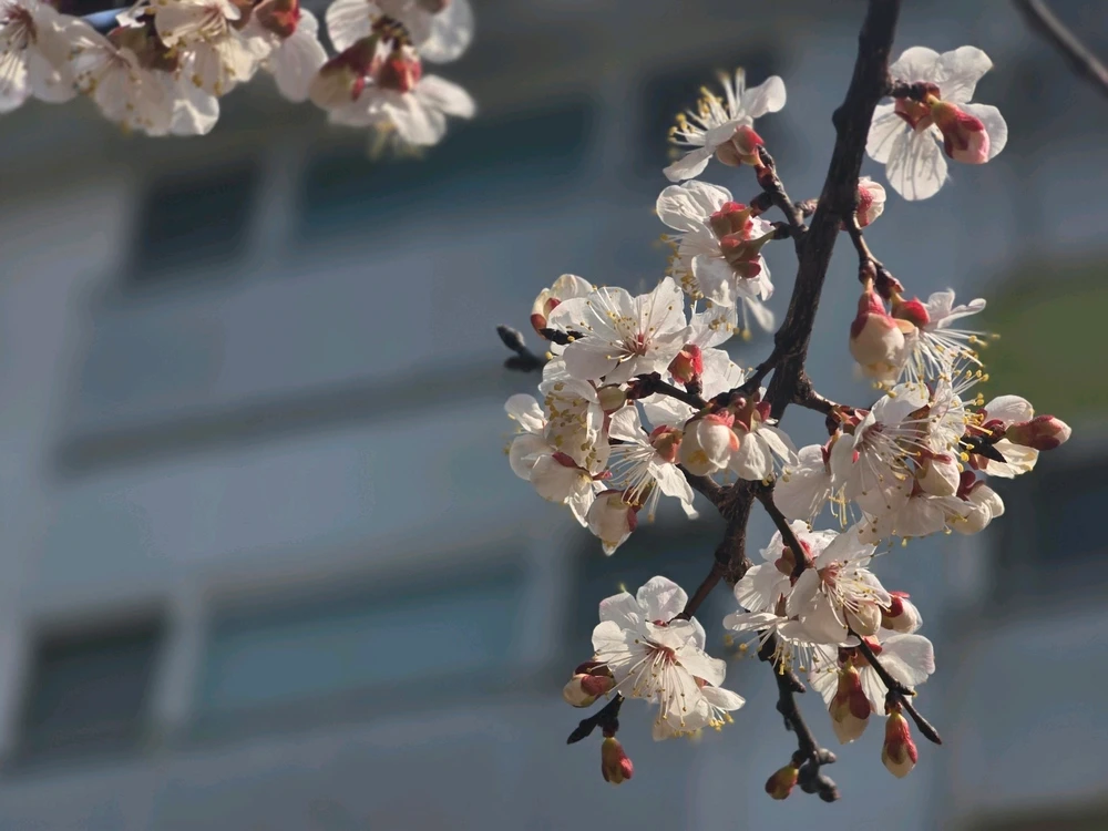 Min님이 올린 사진