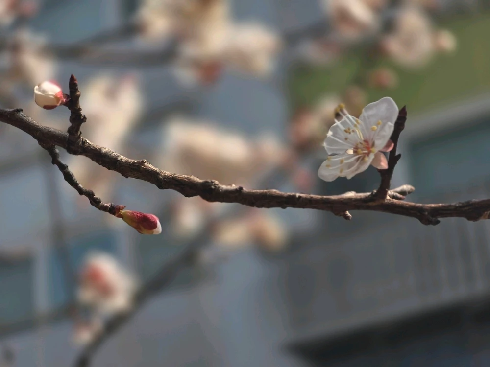 Min님이 올린 사진