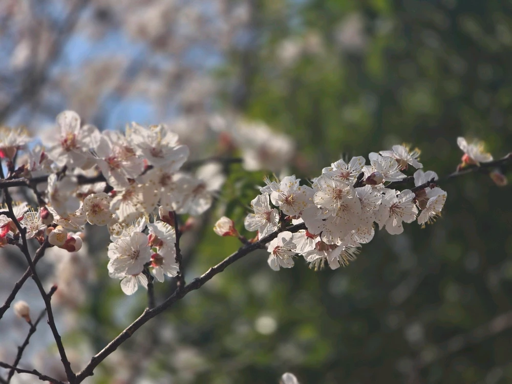 Min님이 올린 사진