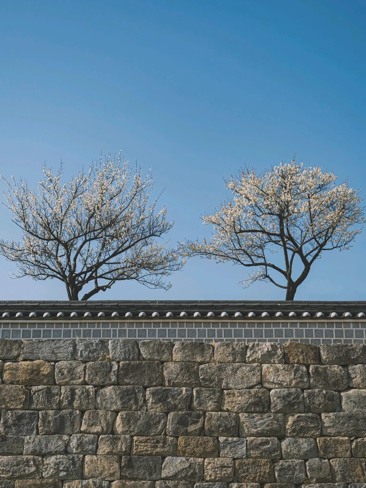 Min님이 올린 사진