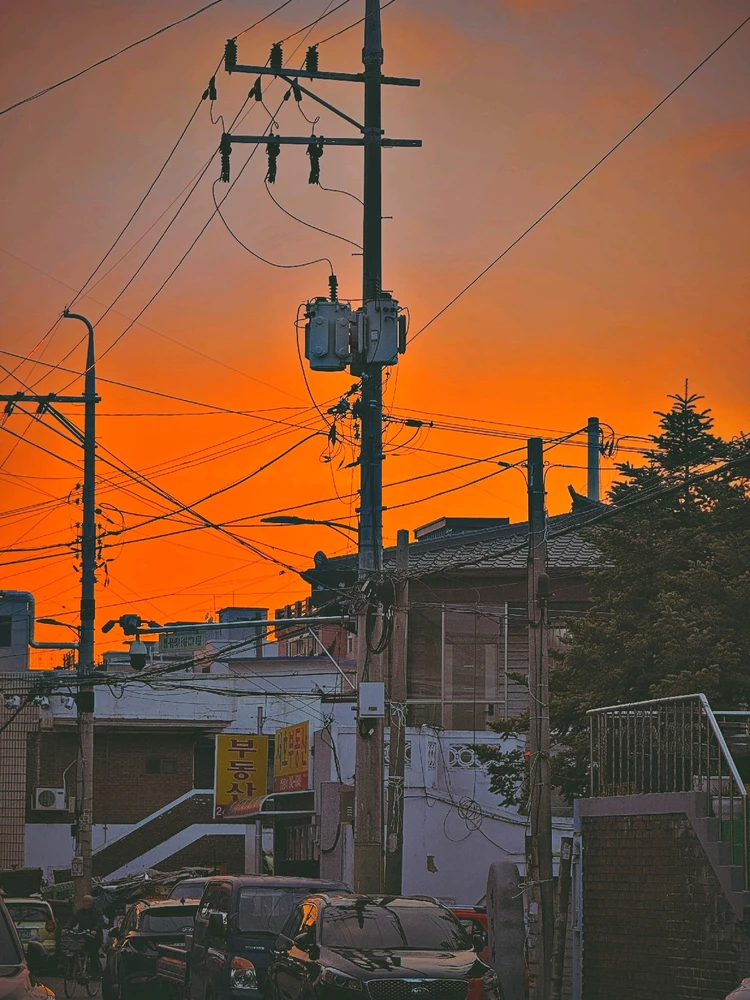 Min님이 올린 사진