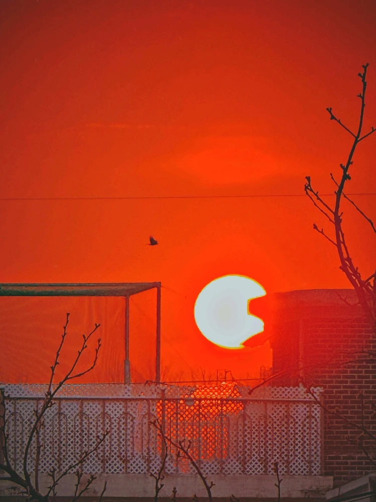 Min님이 올린 사진