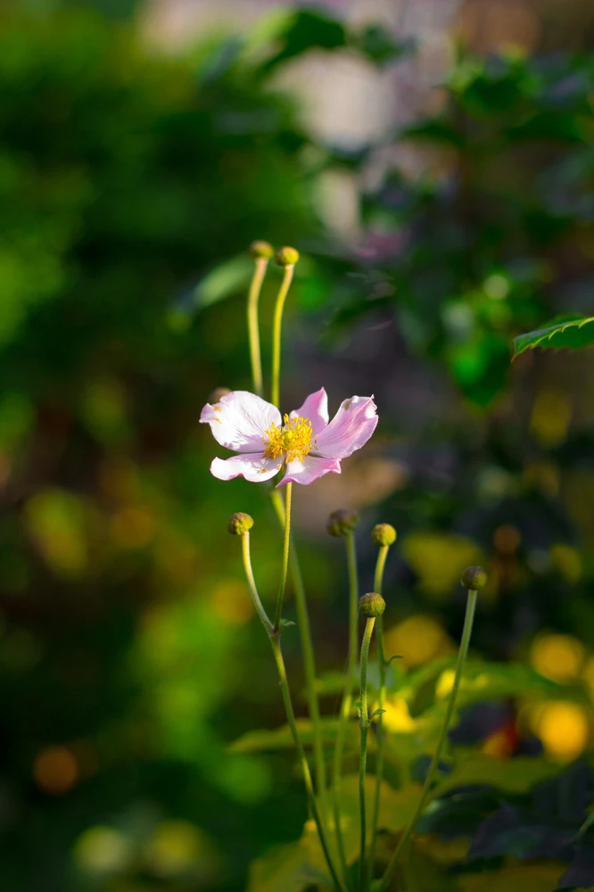 Obrázek nahrál Filip