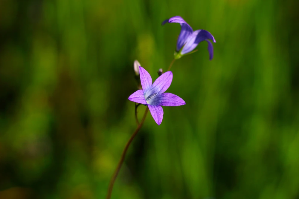 Obrázek nahrál Filip
