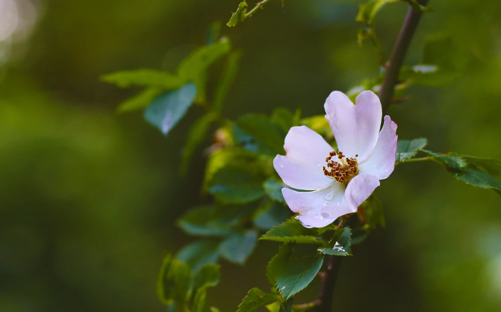 Obrázek nahrál Filip