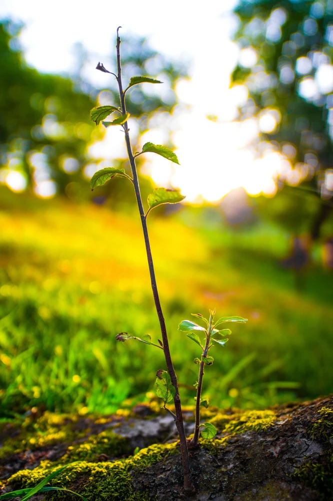 Obrázek nahrál Filip