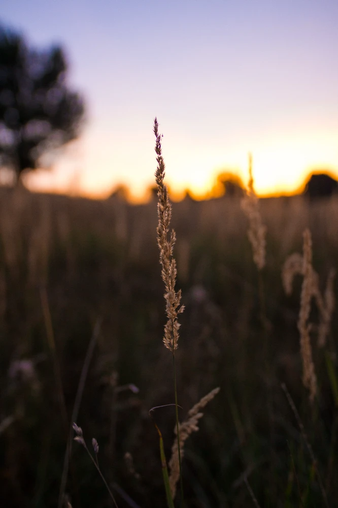 Obrázek nahrál Filip