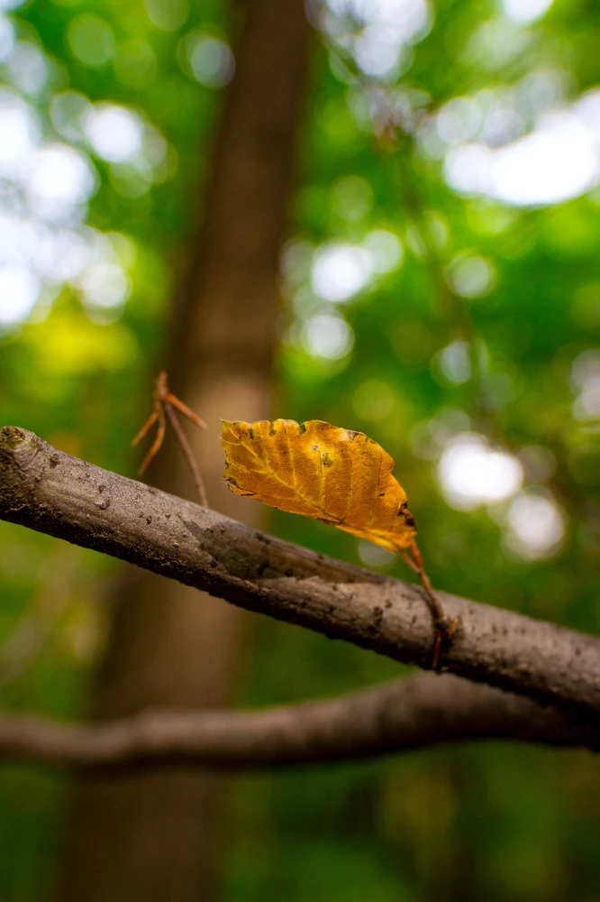 Obrázek nahrál Filip