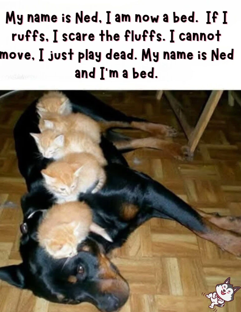 GIF uploaded by Manjeet