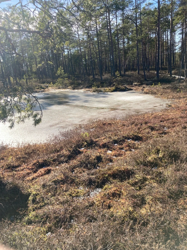 GIF üles laaditud kasutajalt Mario