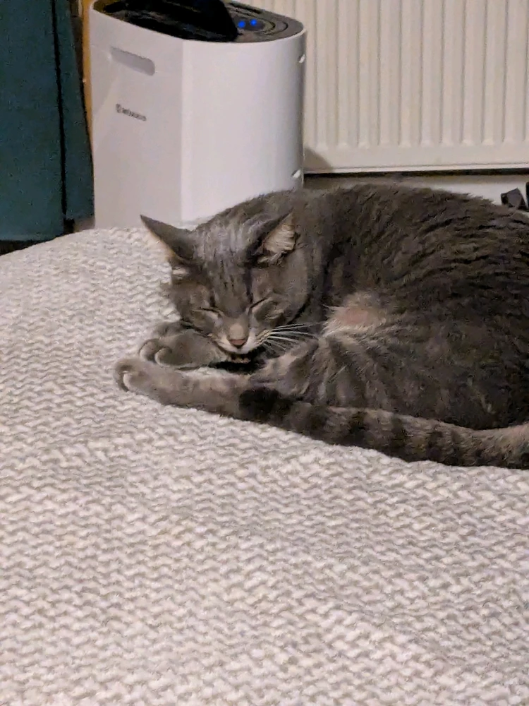 GeorgeがアップロードしたGIF