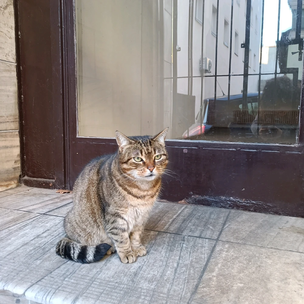 GIF dodany przez Jakub